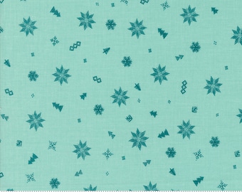 Cozy Wonderland  45597 17 Aqua by Fancy That Design for Moda