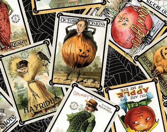Pumpkin Patch  C14579-Black Seed Packs Toss  J. Wecker Frisch  Riley Blake Designs ***In Stock - Shipping Now****
