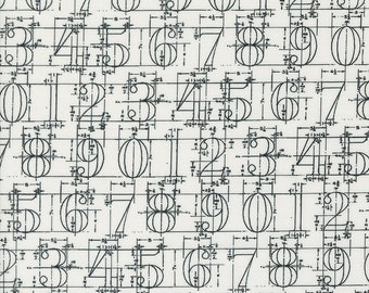 Sable Swan by Cathe Holden.  7443 11 Numbers     for Moda