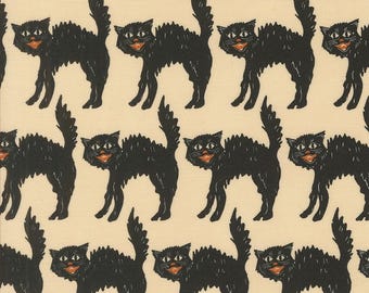 Home Sweet Haunt  by Stacy Iest Hsu   20915 11   **Cute Cats****