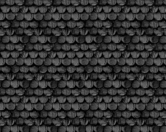 Pumpkin Patch  C14577-Black Raise the Rooftop   J. Wecker Frisch  Riley Blake Designs ***In Stock - Shipping Now****