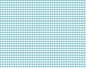 Gingham Small Aqua   C440-20   by Riley Blake