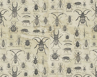 Free Spirit~Laboratory by Tim Holtz~SPECIMEN~Neutral~ PWTH184-NEUTRAL