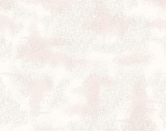 Shabby by Lori Holt  in Cloud   C605 for  Riley  Blake