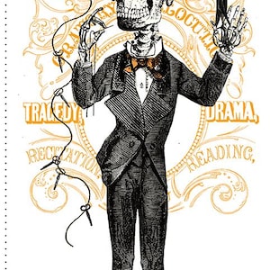 Costume Makers Act ll  PD16000  Panel  24&quot; X 43&quot;  J. Wecker Frisch  Riley Blake Designs ***In Stock - Shipping Now****