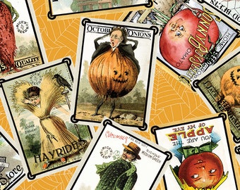 Pumpkin Patch  C14579-Orange Seed Packs Toss  J. Wecker Frisch  Riley Blake Designs ***In Stock - Shipping Now****