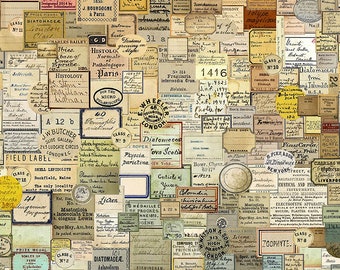 Laboratory Canvas - Labels- By Tim Holtz For FreeSpirit Fabrics - In Stock And Ships Today