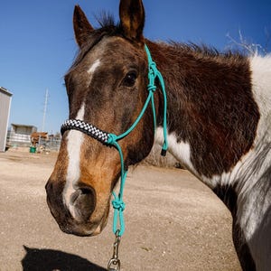 Handmade Rope Halter w/ Custom Noseband