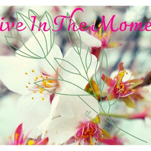 Cherry Blossom PNG Clipart Digital Download Printable