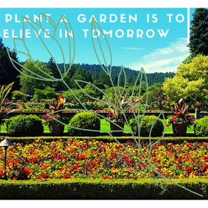 Butchart Gardens Victoria BC PNG clipart download digital para impressão