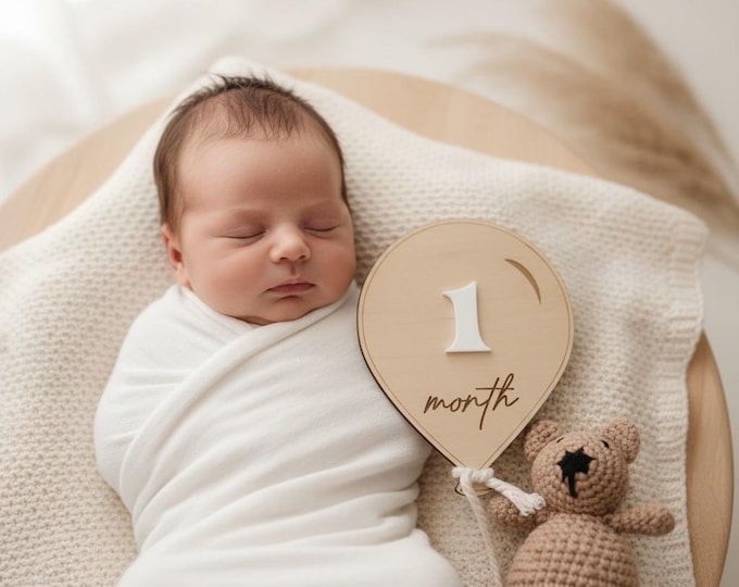 Air Balloon Baby Milestone, Boho Baby Milestone, Wooden Milestone Disc, Monthly Baby Milestone Marker, Baby Growth, Gift for Baby Shower