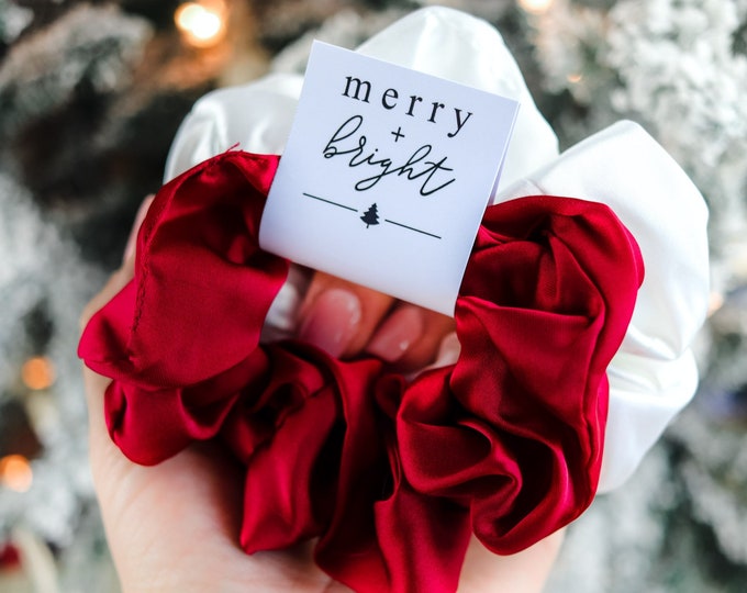 Silk Satin Hair Scrunchies | Neutral Silk Scrunchies |  Silk Satin Scrunchies | Hair Ties | Christmas Scrunchies | Christmas Gift