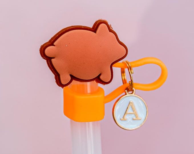 Pan Dulce Straw Topper, Loose Sign Straw Topper, Scrubs Straw Topper, Pride Straw Topper, Stethoscope Straw Toppers, Fun Tumbler Accessories