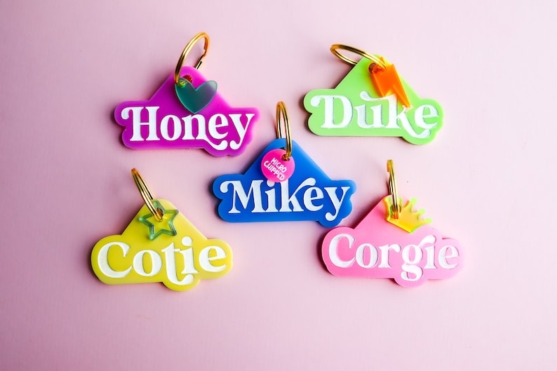 Pu&ograve; includere: Cinque targhette per cani in plastica colorata con anelli dorati. Le targhette hanno la forma di una nuvola e hanno i nomi "Honey", "Duke", "Mikey", "Cutie" e "Corgie" scritti in bianco. Ogni targhetta ha un piccolo ciondolo attaccato all'anello.
