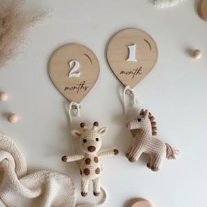 May include: Wooden balloon-shaped milestone markers with the numbers "1" and "2" and the word "month" in script. Includes crocheted giraffe and horse toys. The toys are beige with brown accents.