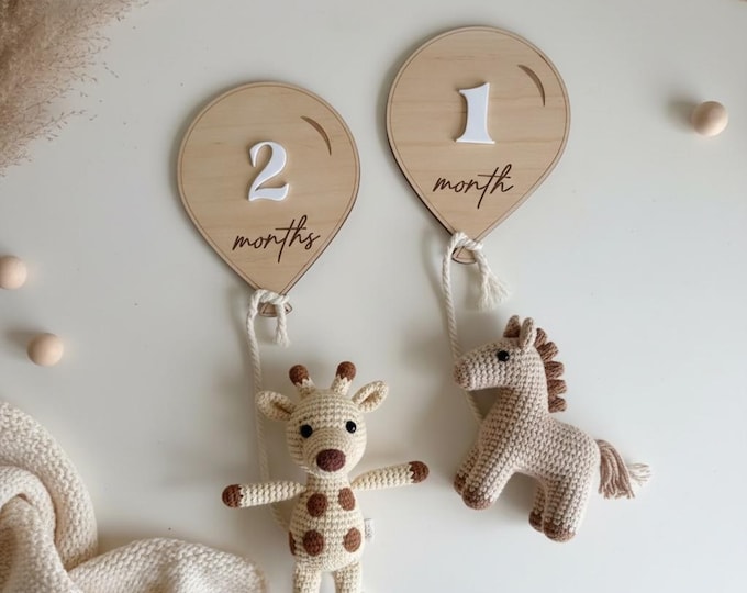 Wooden Baby Milestone Cards, Hot Air Balloon, Boho Baby Milestone, Interchangeable Milestone Cards, Wood Baby Monthly Milestone