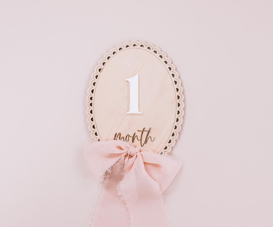 Baby Monthly Milestone Sign With Ribbon Bow, Interchangeable Milestone ...