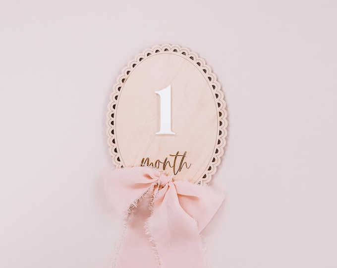 Baby Monthly Milestone Sign with Ribbon Bow, Interchangeable Milestone Cards, Baby Monthly Milestone Marker, Nursery, Baby Shower Gift