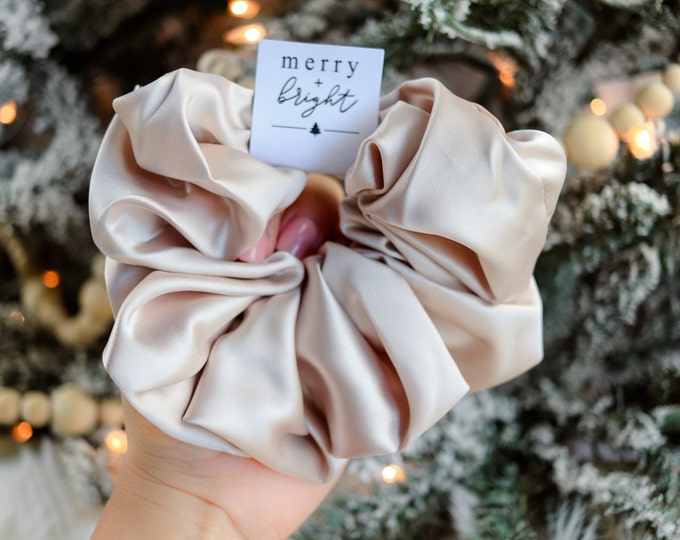 Silk Satin Hair Scrunchies | Neutral Silk Scrunchies |  Silk Satin Scrunchies | Hair Ties | Christmas Scrunchies | Christmas Gift