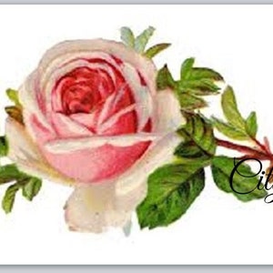 30 Personal Address Labels Rose. choose any picture (ro1)