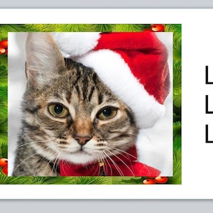 Christmas Holiday Cat Return Address Labels Favors ...