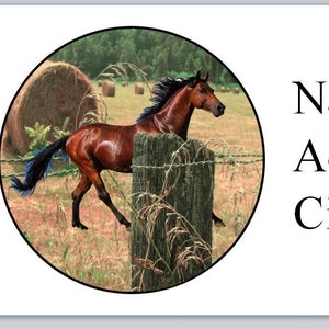 30 Personal Address Labels Horse in Field (p 2)