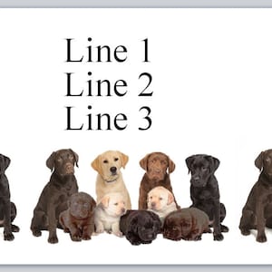 30 Personal Address Labels Cute Labradors and Puppies (jx 550)