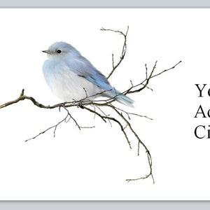 30 Personal Address Labels Cute Blue Bird on branch (bx 286)