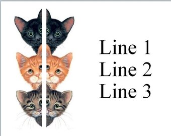 30 Personal Address Labels Cats peeping out (jx 448)