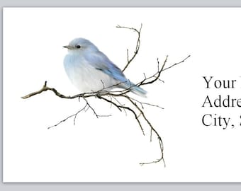 30 Personal Address Labels Cute Blue Bird on branch (bx 286)