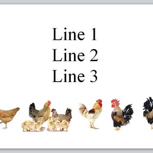 30 Personal Address Labels Country  Farm Roosters Hens Chickens (bx 243)