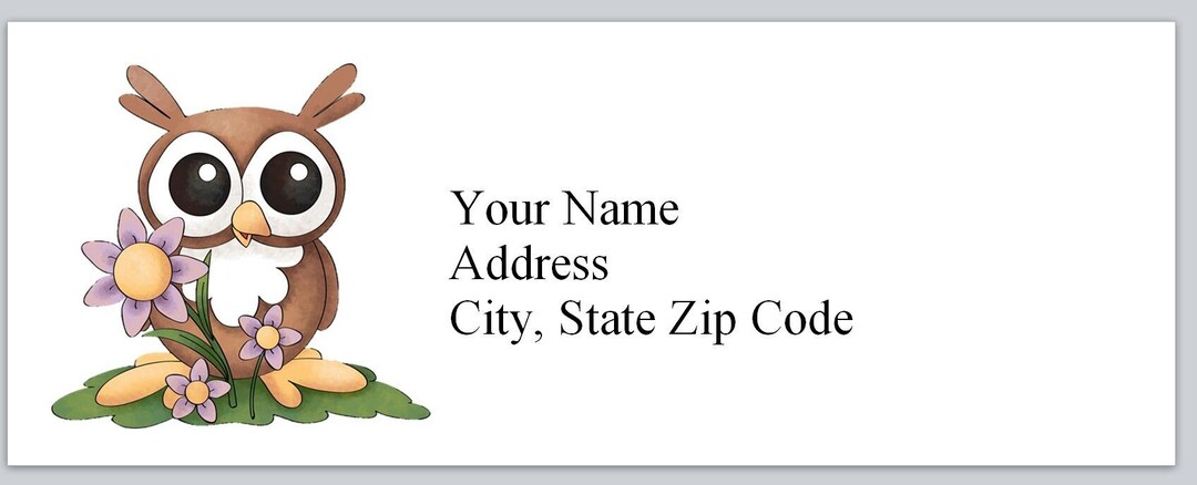30 Personal Address Labels Cute Cartoon Owl With Pink Flower (bx 246 ...