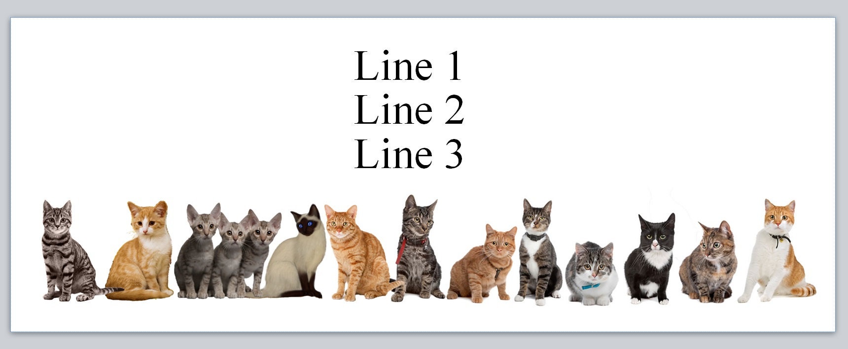 30 Personal Address Labels A Row of Cute Kittens Cats (jx 493)