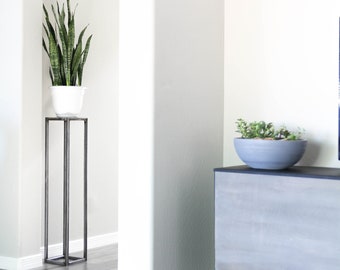 May include: A gray wooden cabinet with black metal legs sits on a gray wood floor. A potted succulent plant sits on top of the cabinet. A potted snake plant sits on a black metal stand in the background.