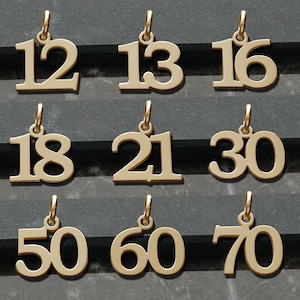 Solid 9ct Gold Number Birthday Age Pendant Charm ANY NUMBER 1 to 99 - 16th 18th 21st 40th Birthday Gift Anniversary Gift