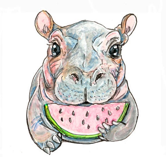 Fiona Hippo Original Custom Vinyl Die-Cut Sticker (1 piece) IN STOCK!
