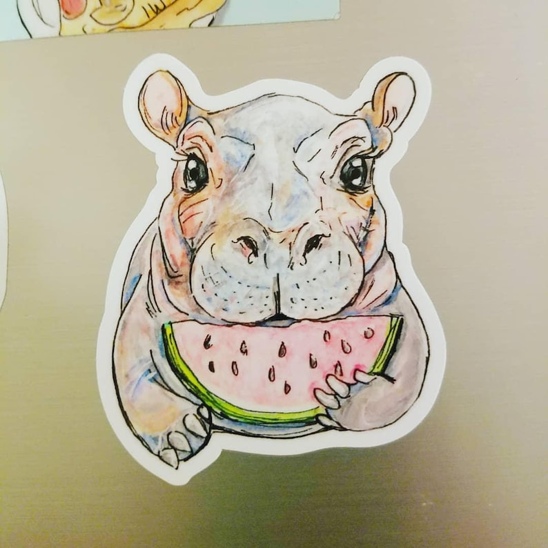 May include: A cartoon illustration of a hippopotamus with a pink watermelon slice in its mouth. The hippo is drawn in a watercolor style with shades of gray, pink, and green.