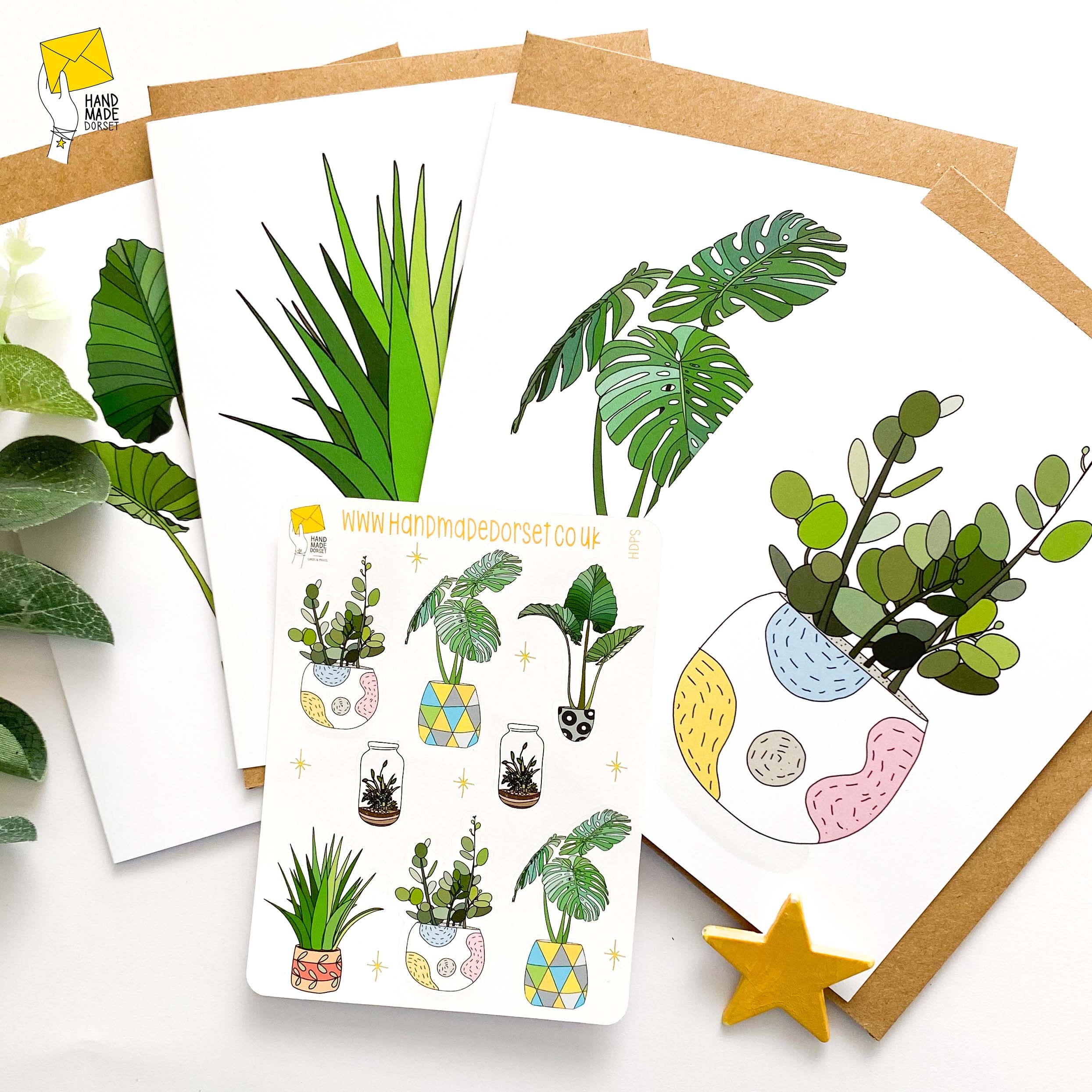 Plant note cardsset of plant cardsblank plant cardsplant Etsy