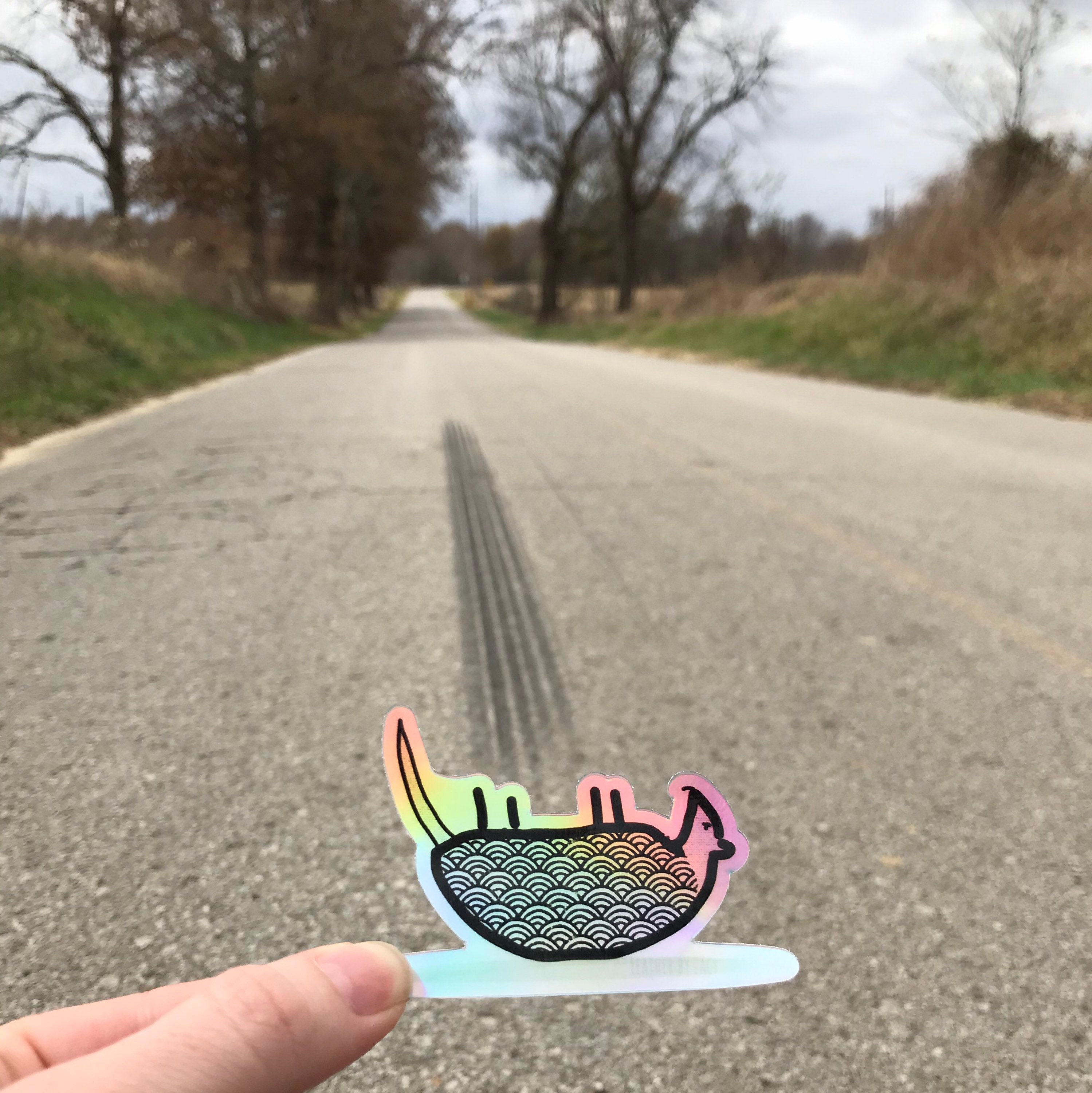 Armadillo Colorful - 8\" Vinyl Sticker - For Car Laptop I-Pad...
