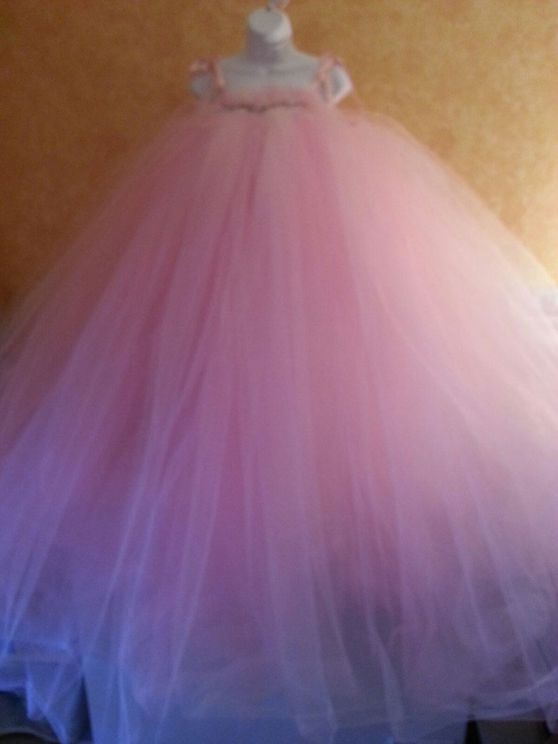 Pink Cloud Goddess Boho Babydoll Tulle Tutu Empire Waist Sequin Crystal Bridal Wedding Ballgown Belly Dance Party image 1