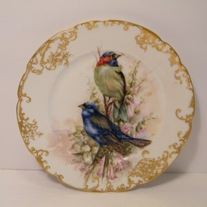 May include: A white porcelain plate with a gold rim and intricate gold designs. The plate features a hand-painted scene of two blue birds perched on a branch with pink flowers.
