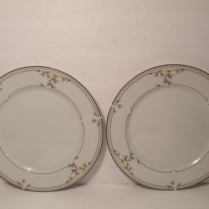 2 Princess House Heritage Blossom Dinner Plates, Vintage Set of 2 Ceramic dishes in 10.75 inch Diameter size, replacement china