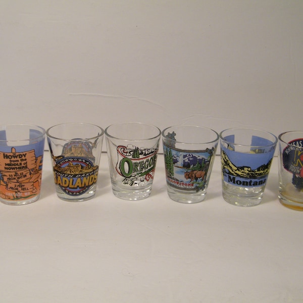 Souvenir Shot Glass Etsy