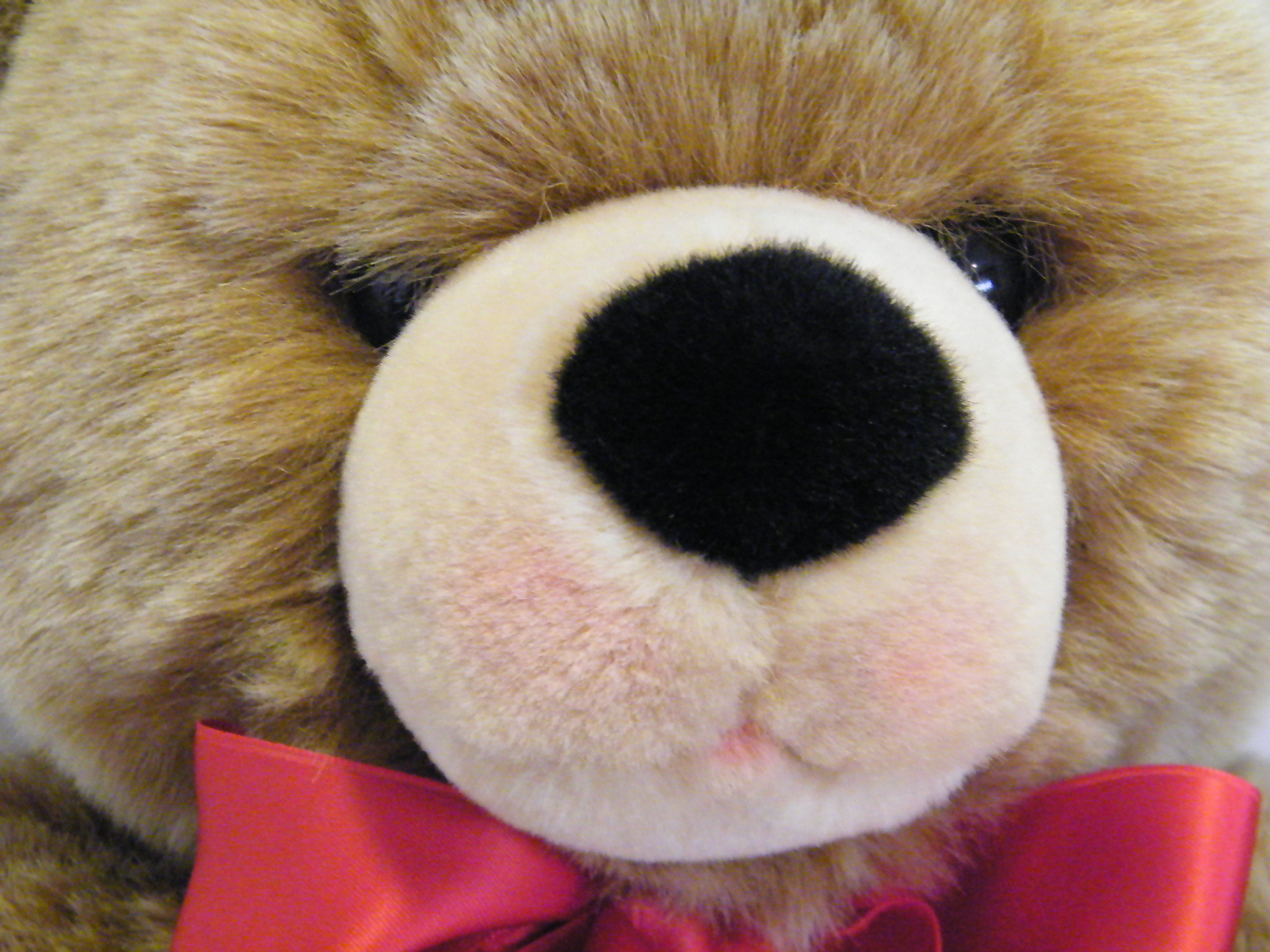 Large Steiff Teddy Bear With Red Bow Numbered 013898