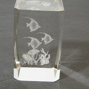 May include: A clear glass cube with an etched design of four fish and coral. The fish are white and have a detailed design. The coral is also white and has a detailed design.