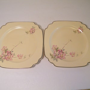 2 Wells Briar Rose Dessert Plates From Homer Laughlin in C 84 Patten, Vintage square plates with platinum accent,