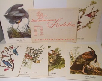 18 Audobon Best Loved Birds Prints in Full Color, Vintage set of 12 x 9 aviary collection wall decor, suitable for framing