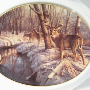 Woodland Tranquility Winters Calm Collector Plate, Vintage Bradley Exchange Wildlife series by Greg Alexander, 1st Issue, with COA