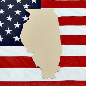 Illlinois State Craft, Wooden Unfinished, Shape, Paintable,, Any State Available