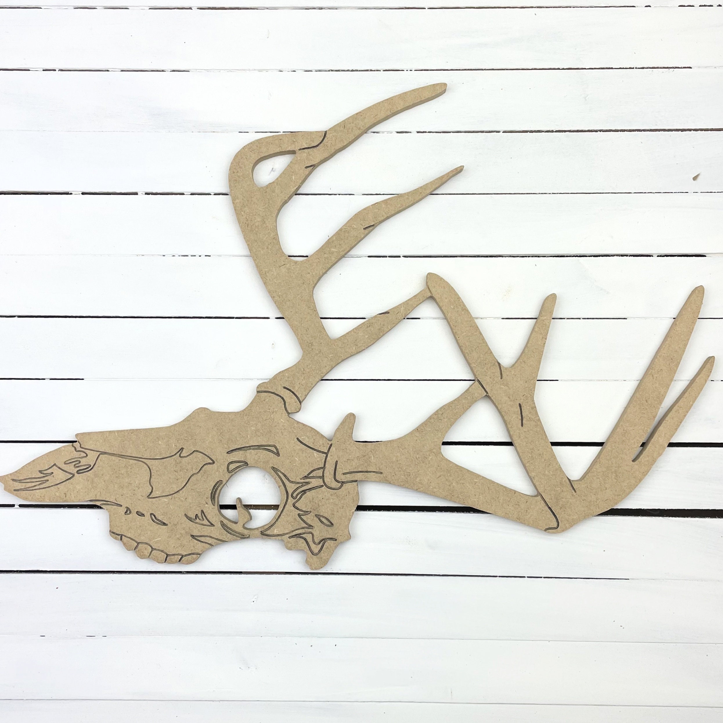 Deer Antler Skull Mount